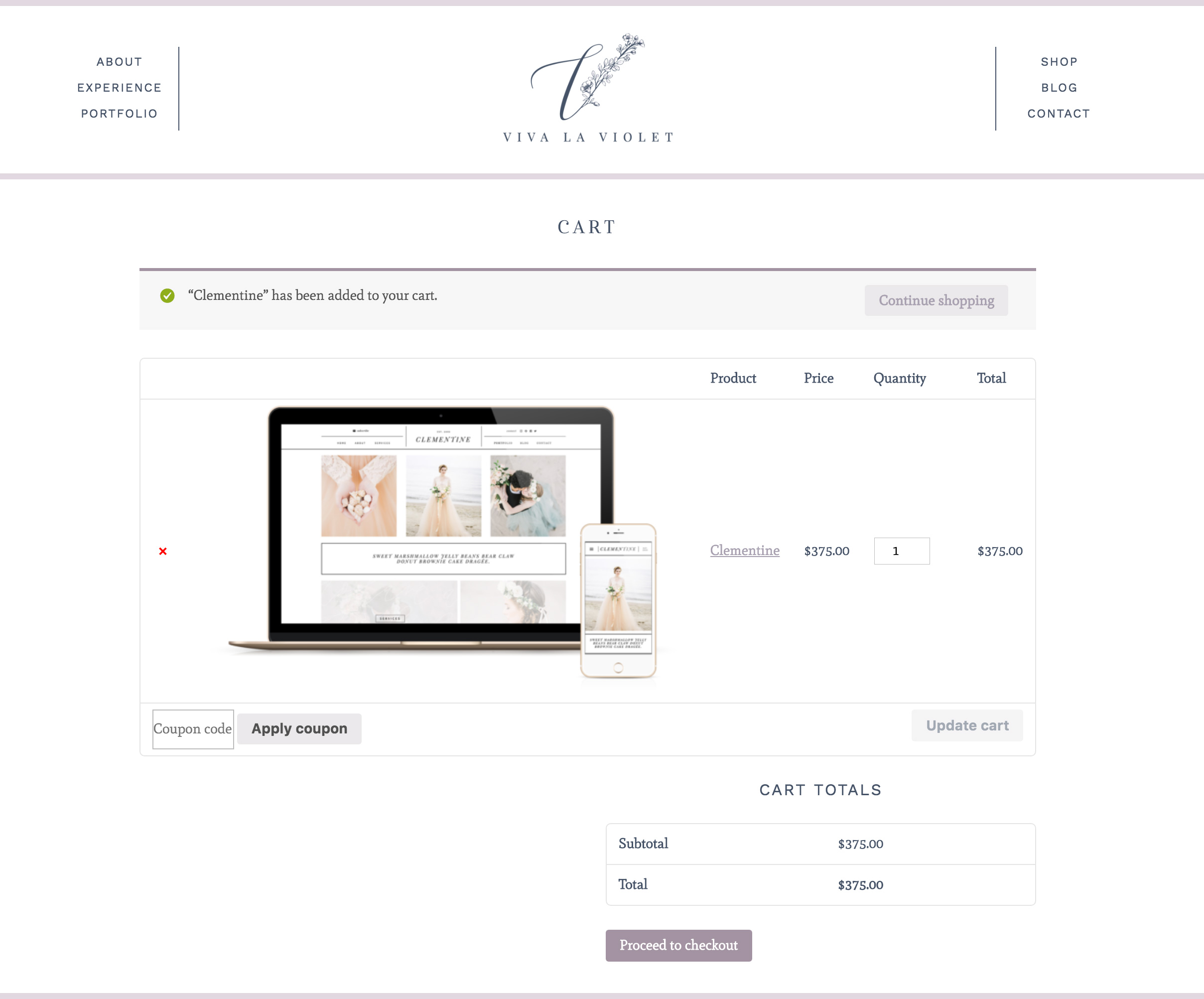 Handcrafting Heartfelt Brand Designs & Web Designs for Female Creatives | Viva la Violet | Showit | Showit Designer | Showit Websites | Showit Ecommerce